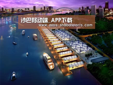 案例展示八(图1)