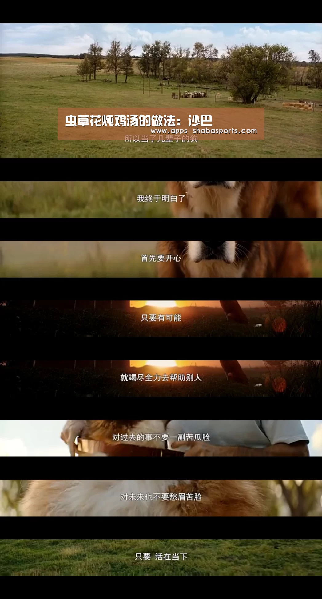 虫草花炖鸡汤的做法:沙巴(图1) 沙巴体育app