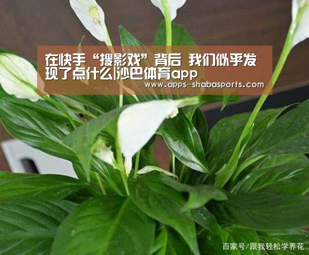 沙巴