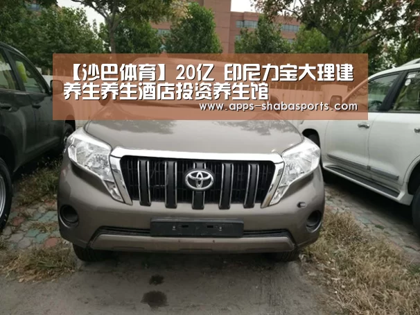 沙巴体育平台